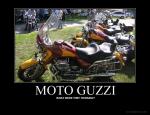 guzzi what - Copy.jpg