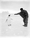 clissold&penguin.jpg