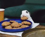 bunny_cookie.jpg
