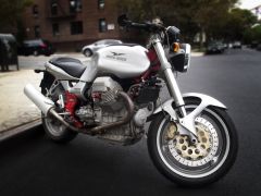 the guzzi