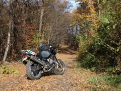 autumn gravel road