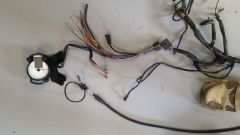 V11 harness speedo