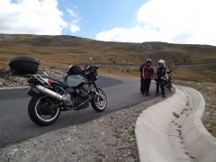 Transalpina